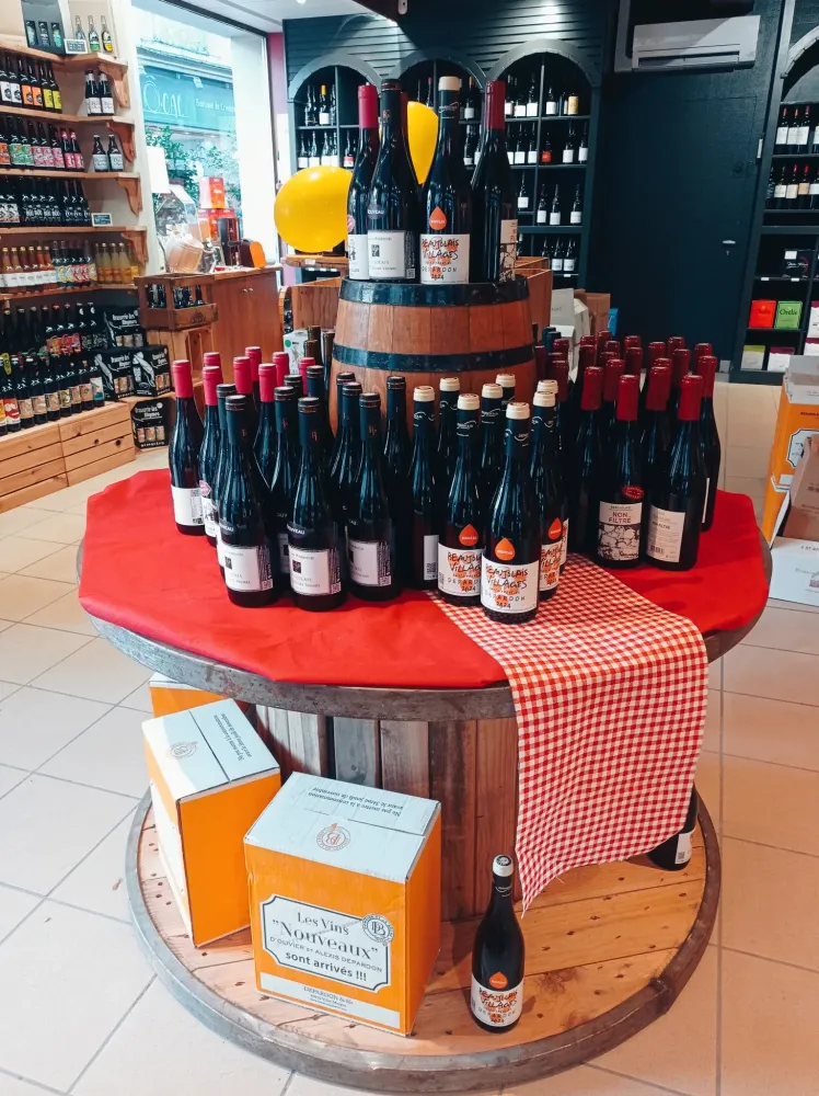 vins (7)